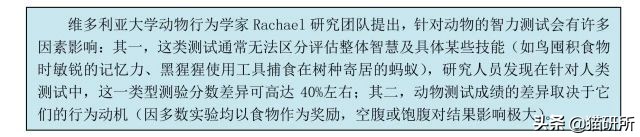 猫咪的记忆是多长时间,猫咪的记忆是永远的吗