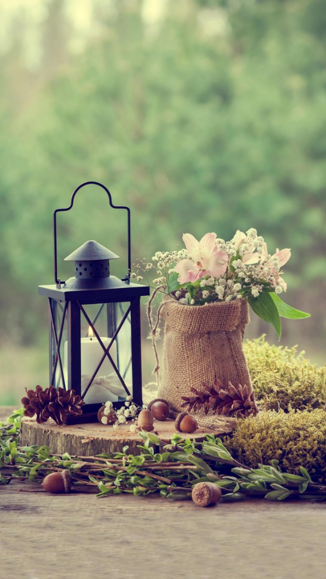 精美二次元壁纸高清,60张绝美壁纸超清