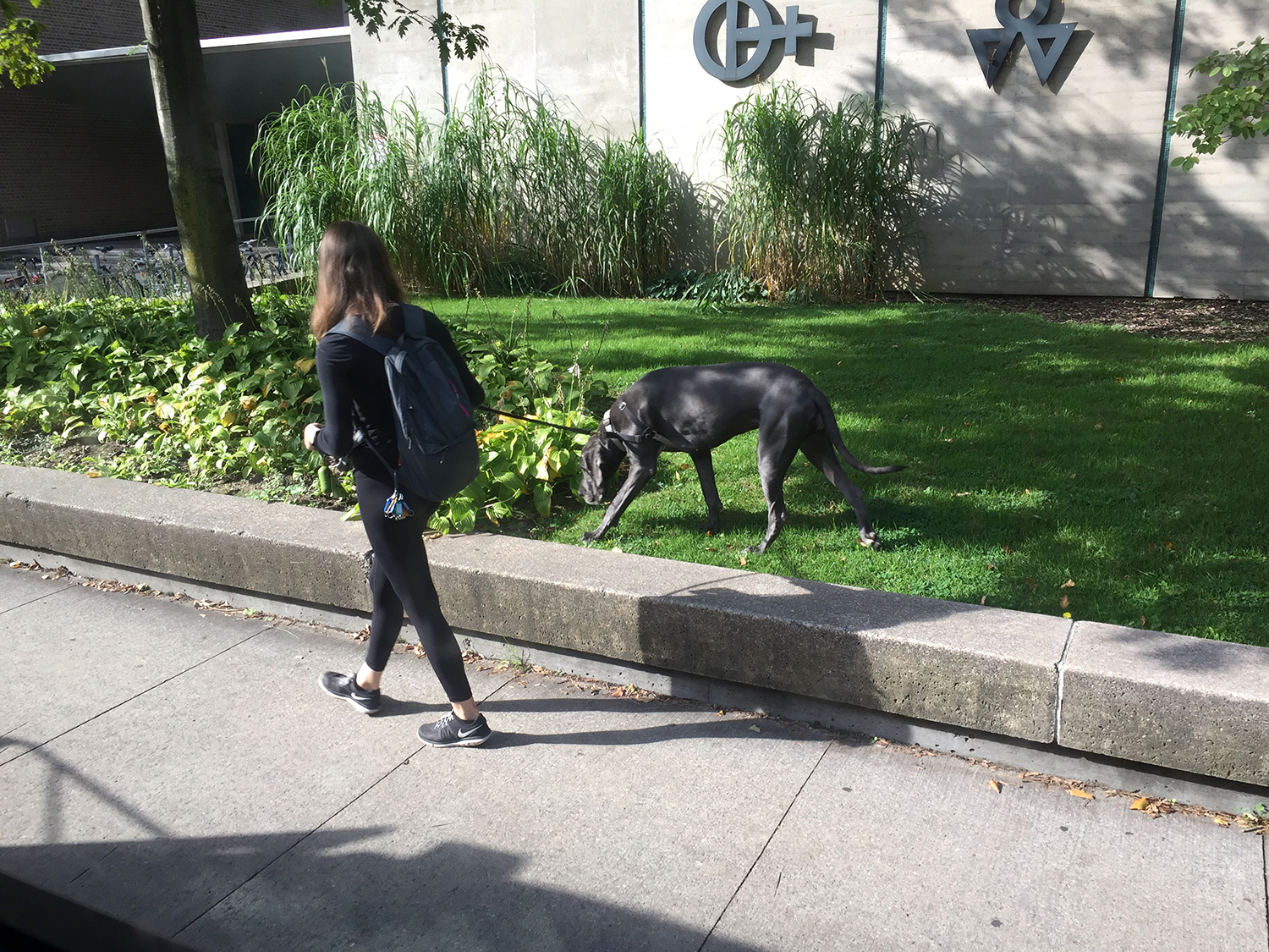 加拿大留学生可不可以淘宝,外国留学生如何淘宝