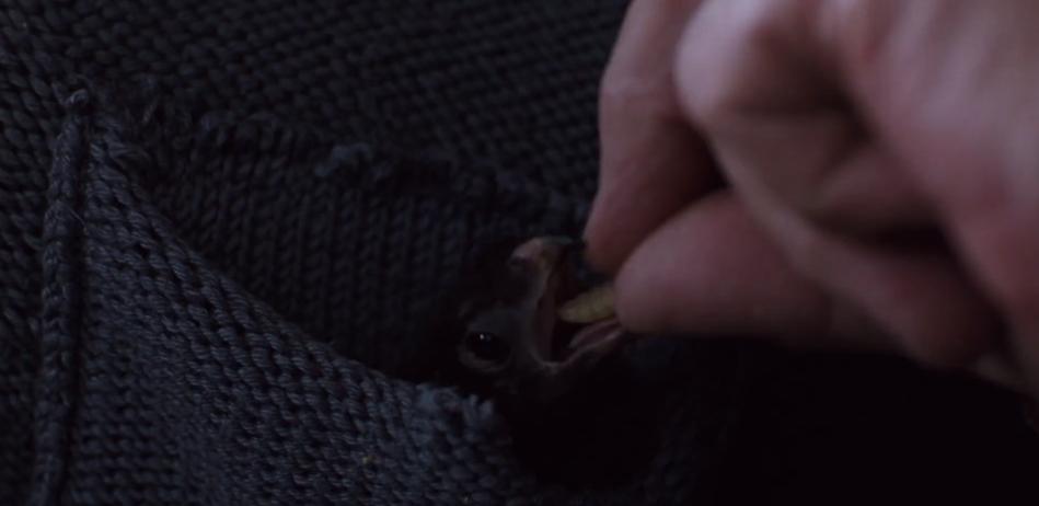 十年前被骂的电影有哪些,当年被人骂烂的电影