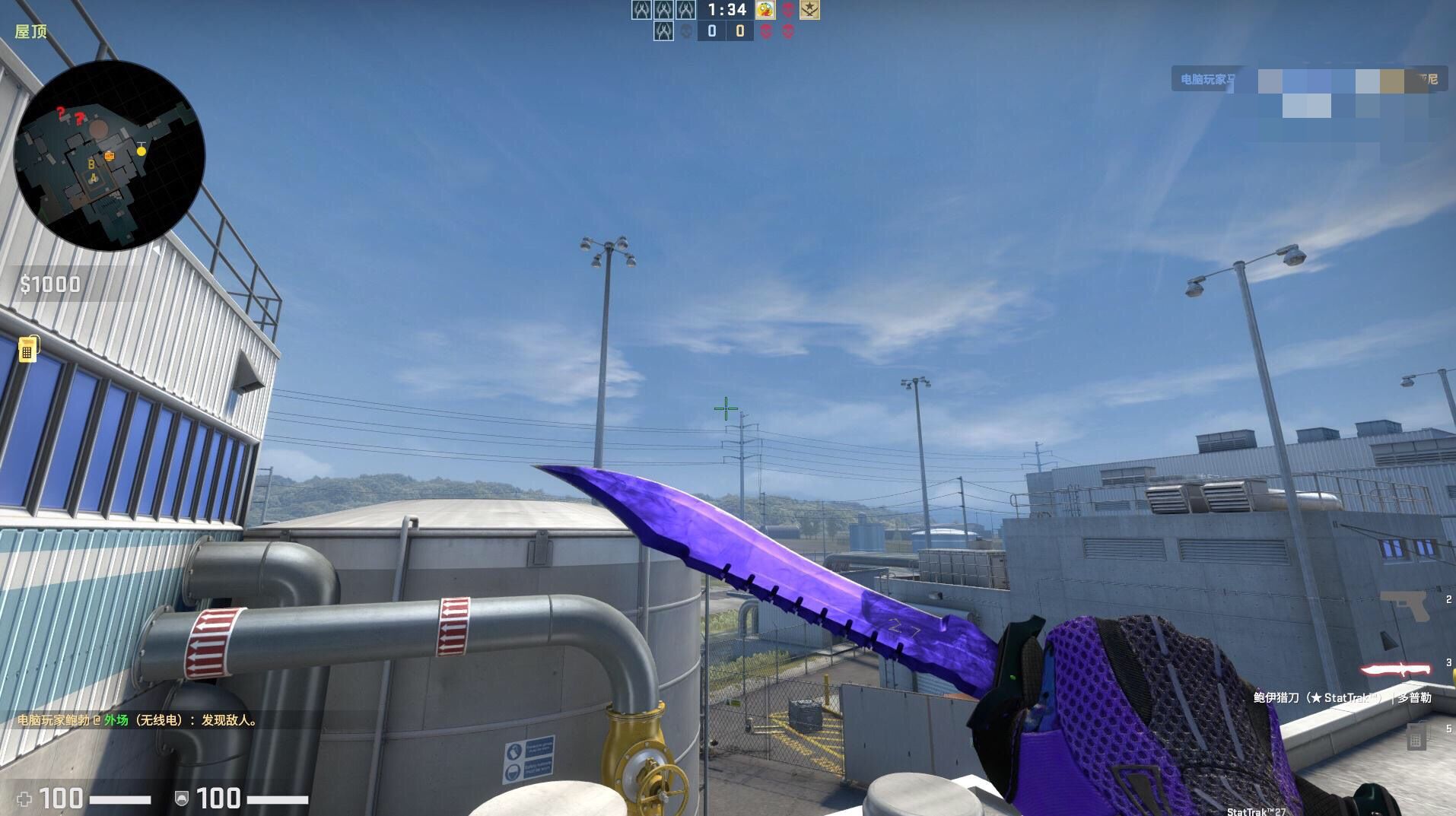 csgo穿肠刀皮肤推荐,csgo个人经历