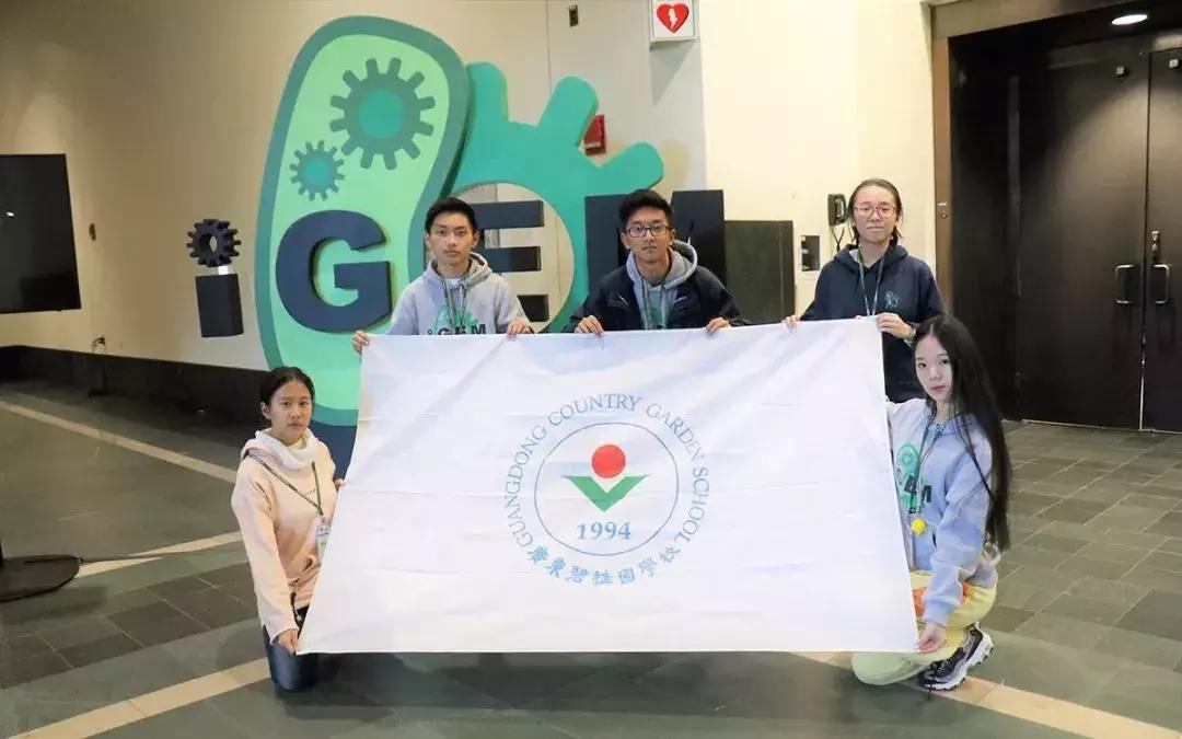 博实乐顺德碧桂园实验学校,广州碧桂园博实乐国际学校怎么样