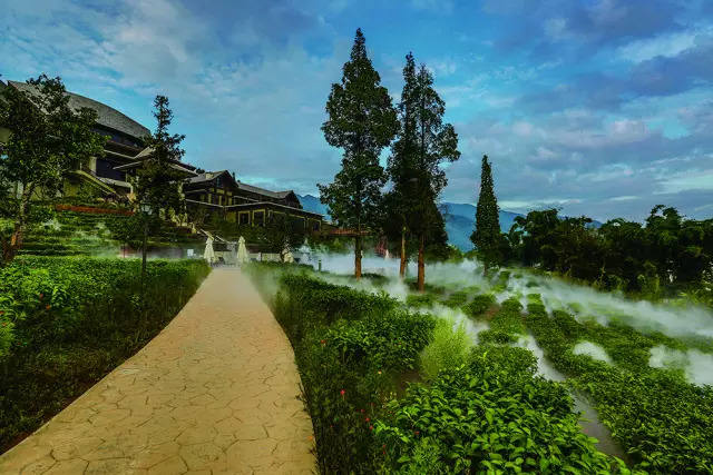 全国十大名茶旅游地,中国十大茶旅