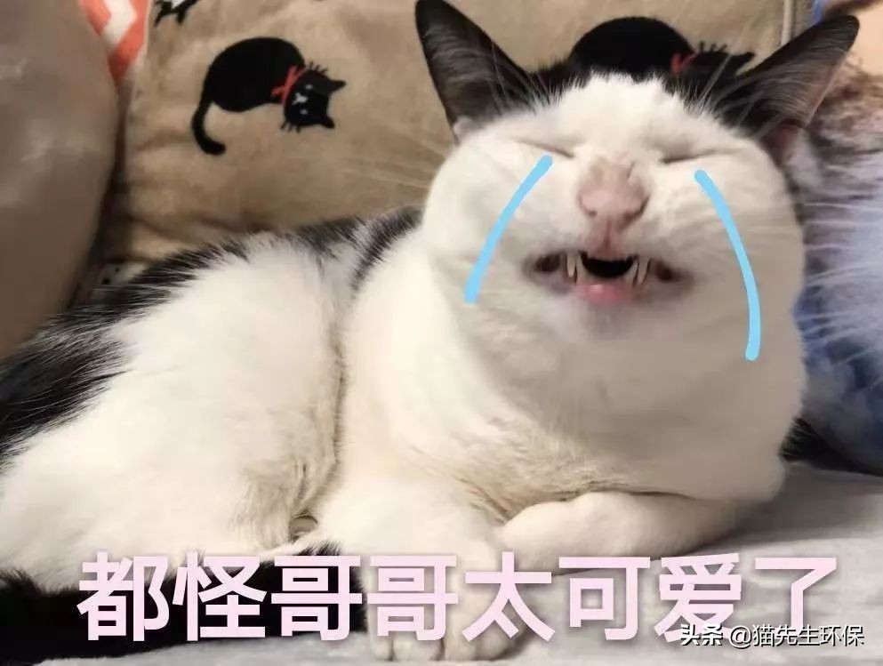 你是什么垃圾？又酸又南的2019年度热词，雨你有瓜