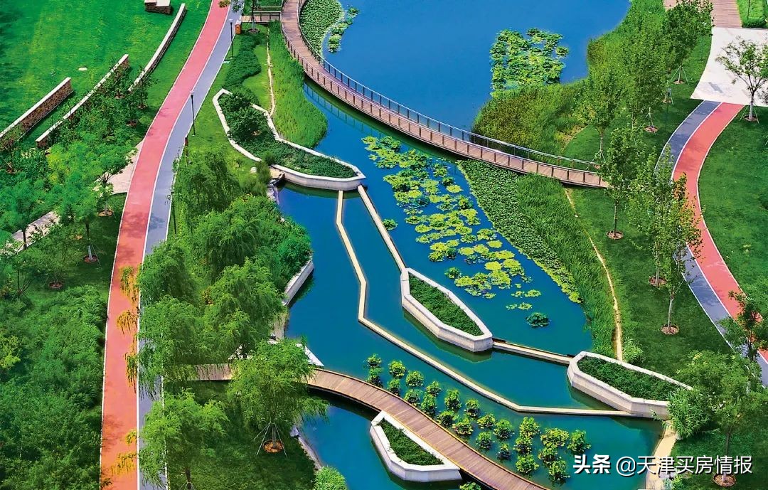 别再神话这里的教育了，天津生态城上学买房深度拆解