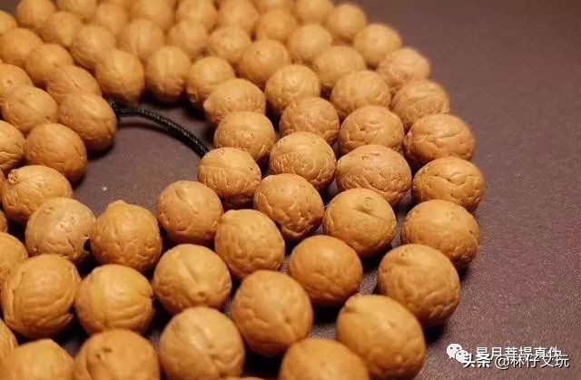 凤眼菩提视频教程,凤眼菩提介绍视频