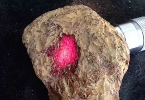 蜜蜡琥珀有多少是真的,所有蜜蜡琥珀血珀