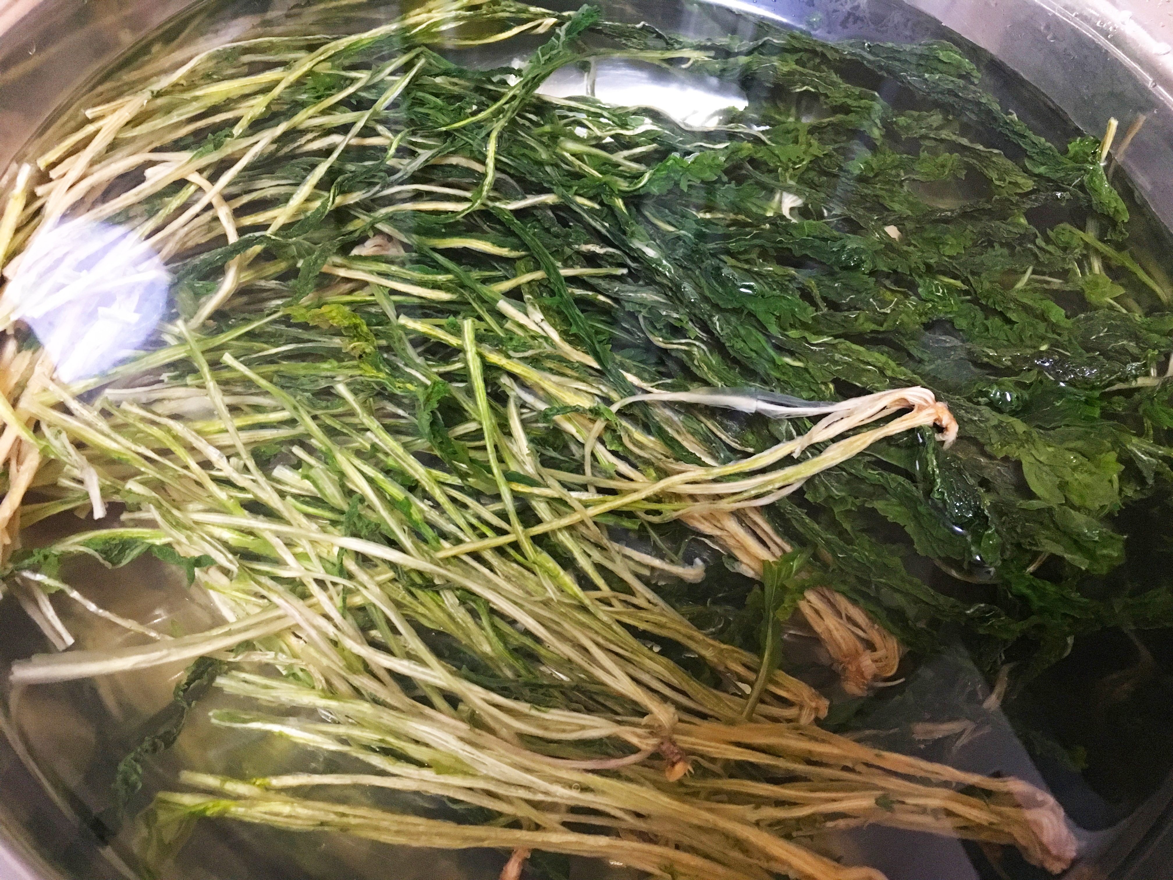 雪里蕻大包子馅做法,雪里蕻豆腐大包子