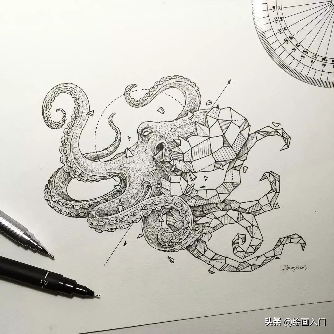 插画铅笔手绘小动物,针管笔手绘黑白画设计