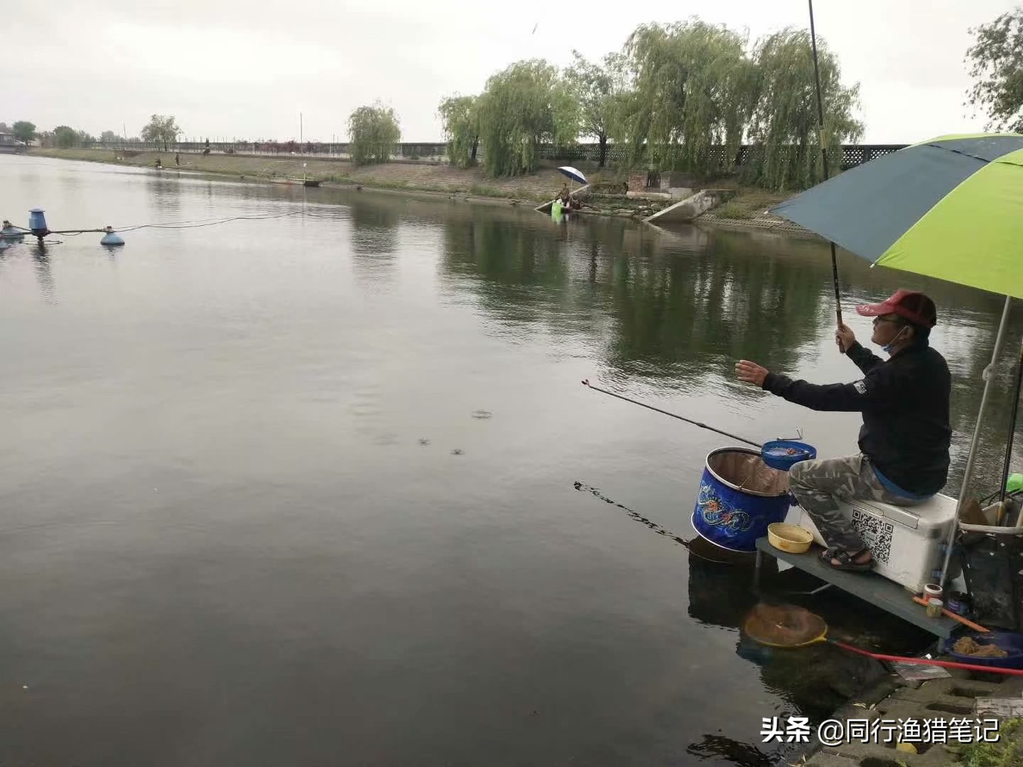 钓鲤鱼正确方法与技巧,有什么方法钓鲤鱼不用看着吗