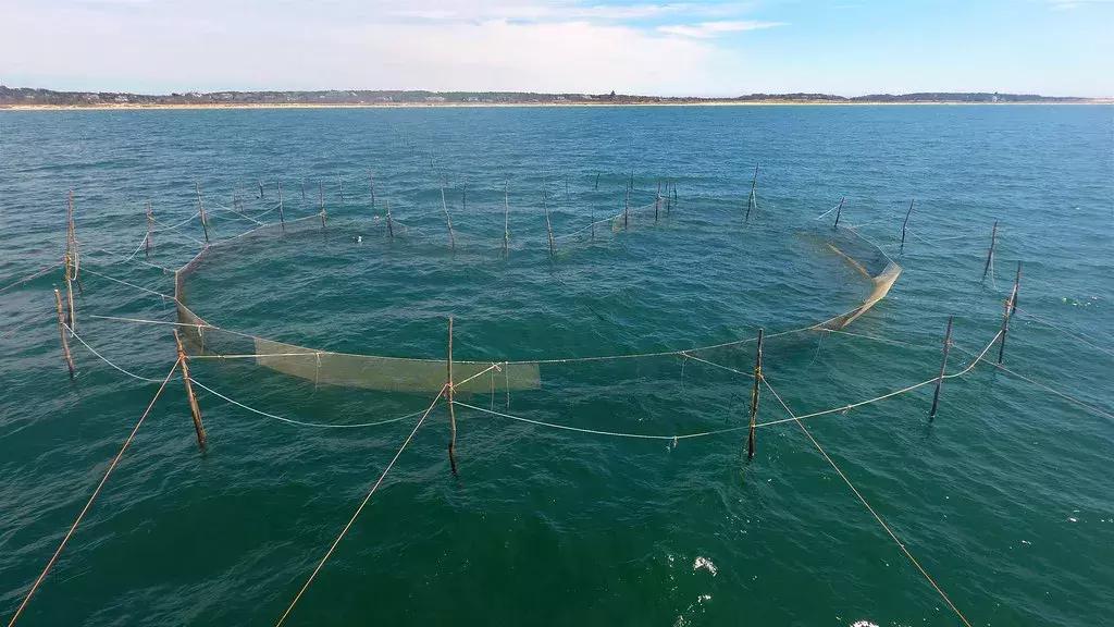 石沪捕鱼在福建哪里,石沪捕鱼游玩