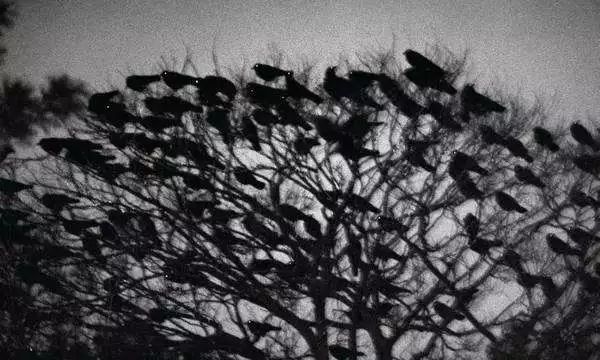 九条“不见得”，手机也能拍大片