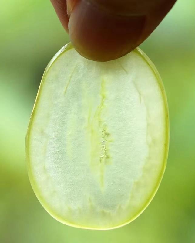 晴王跟阳光玫瑰口感味道都一样吗,日本晴王和阳光玫瑰的区别