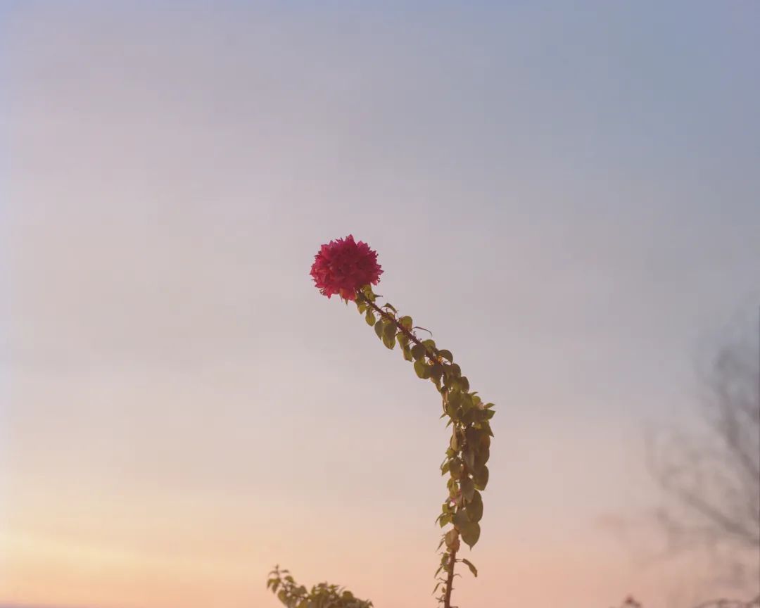 KDA导师专访丨“金史密斯学院的摄影专业,不停刷新摄影的定义”
