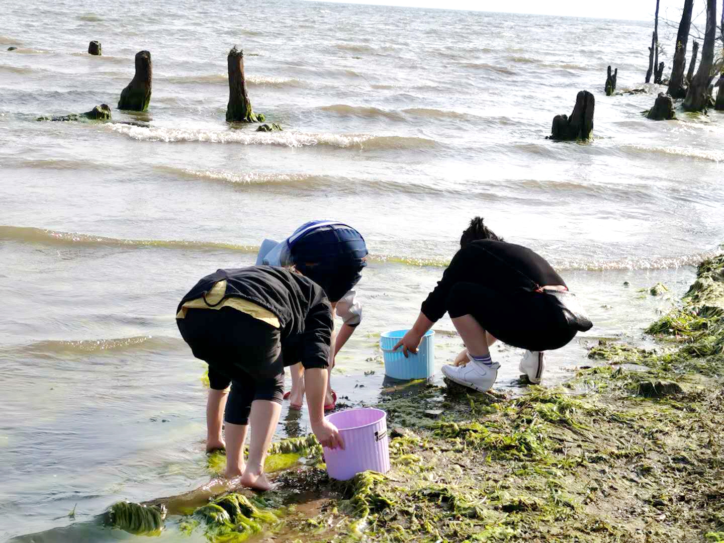 洱海值得去的地方,洱海真正值得去的地方