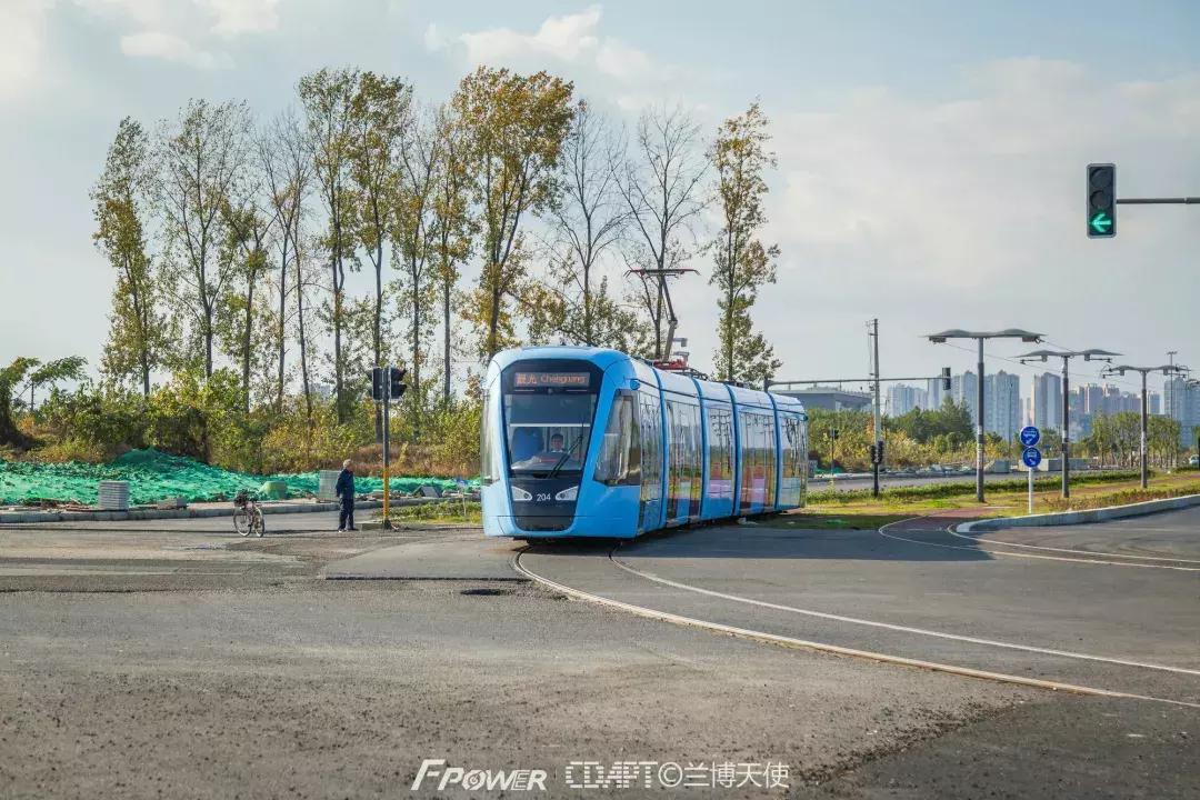 从蓉2来｜天天看见“叮叮猫”跑来跑去的，它到底在忙什么啊？