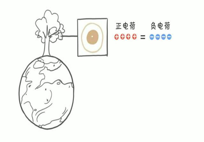 猫静电吸灰小妙招,冬天撸猫有静电怎么办