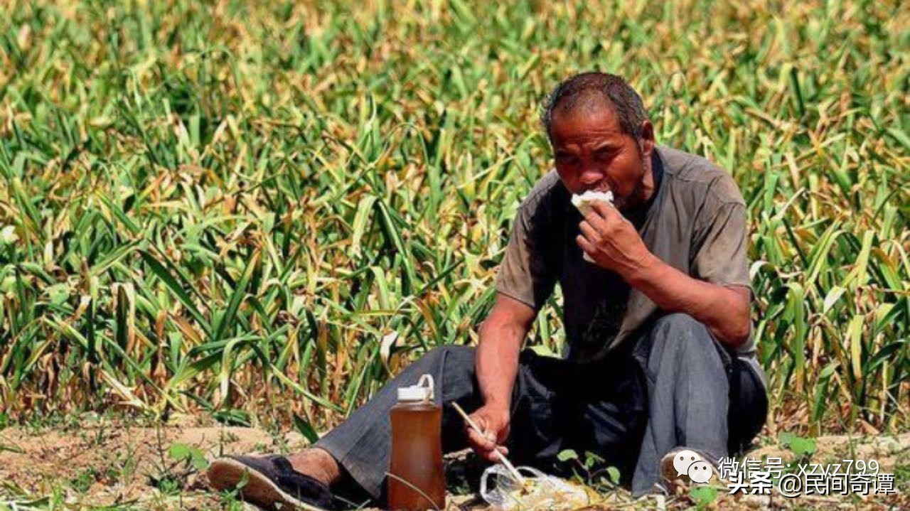 从小生活在农村的感觉,从小就在农村生活