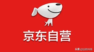 海尔京东旗舰店和京东自营哪个好,京东小米旗舰店跟小米京东自营店