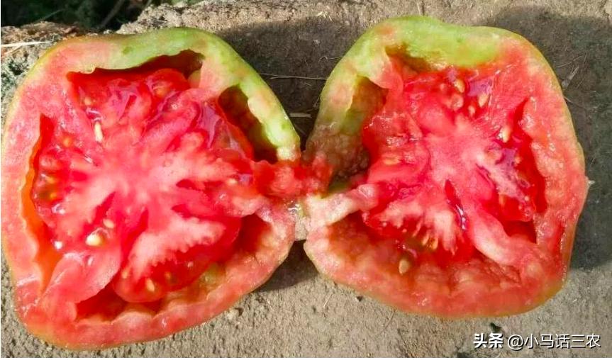 西红柿空心果怎么解决,西红柿怎么管理才不空心不裂开