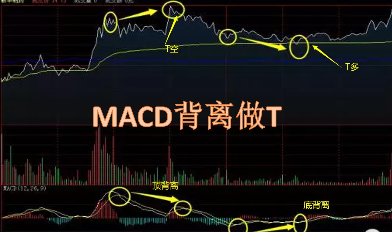 股票如何做t+0技巧,股票做t+0的技巧