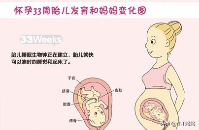 怀孕每个月的注意事项,准妈妈怀孕每个月应注意什么