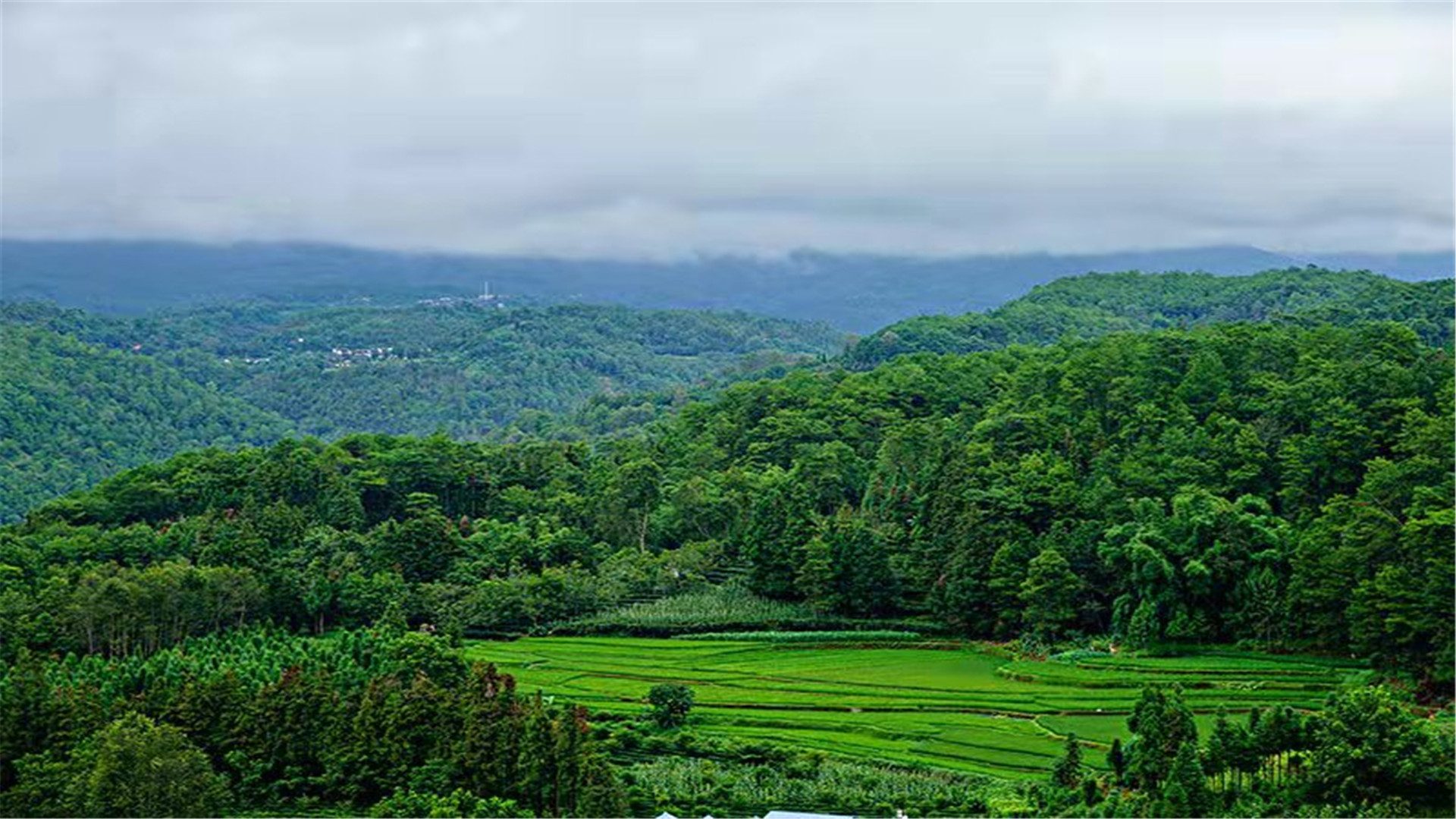 腾冲是最适合人类居住的城市吗,腾冲最适合人类居住的地方