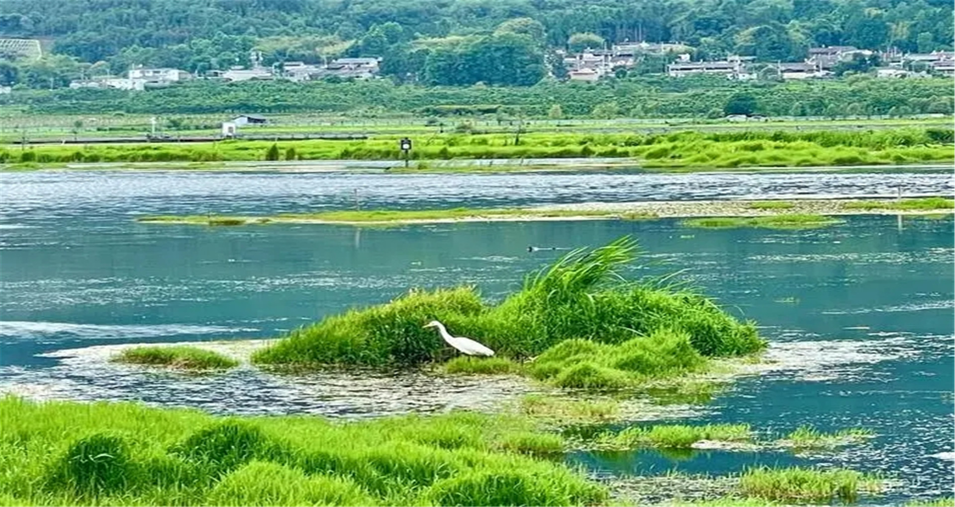 腾冲旅居式养老,腾冲旅居优缺点