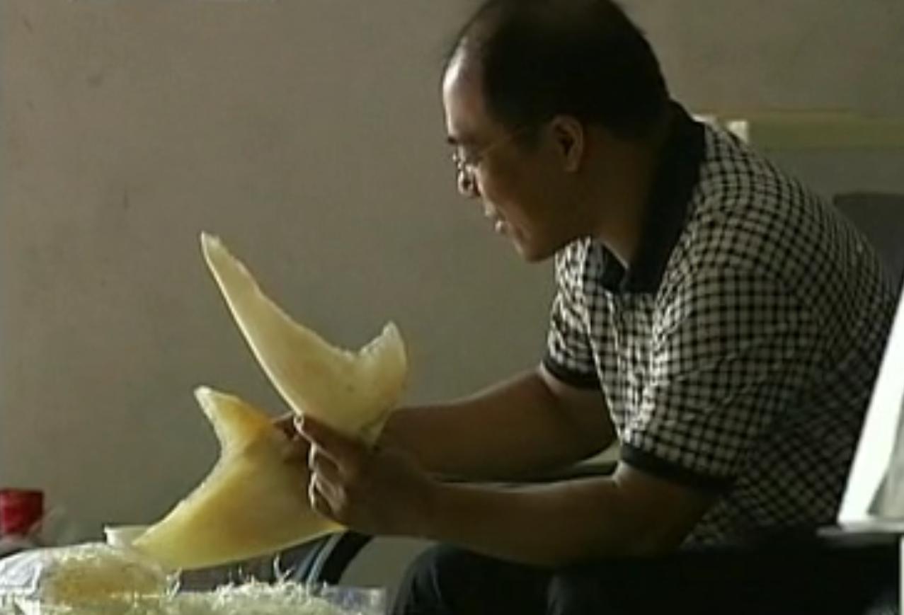 中国“鲨鱼村”的聪明商人：加工迷你“小鲨鱼”，年入3000万