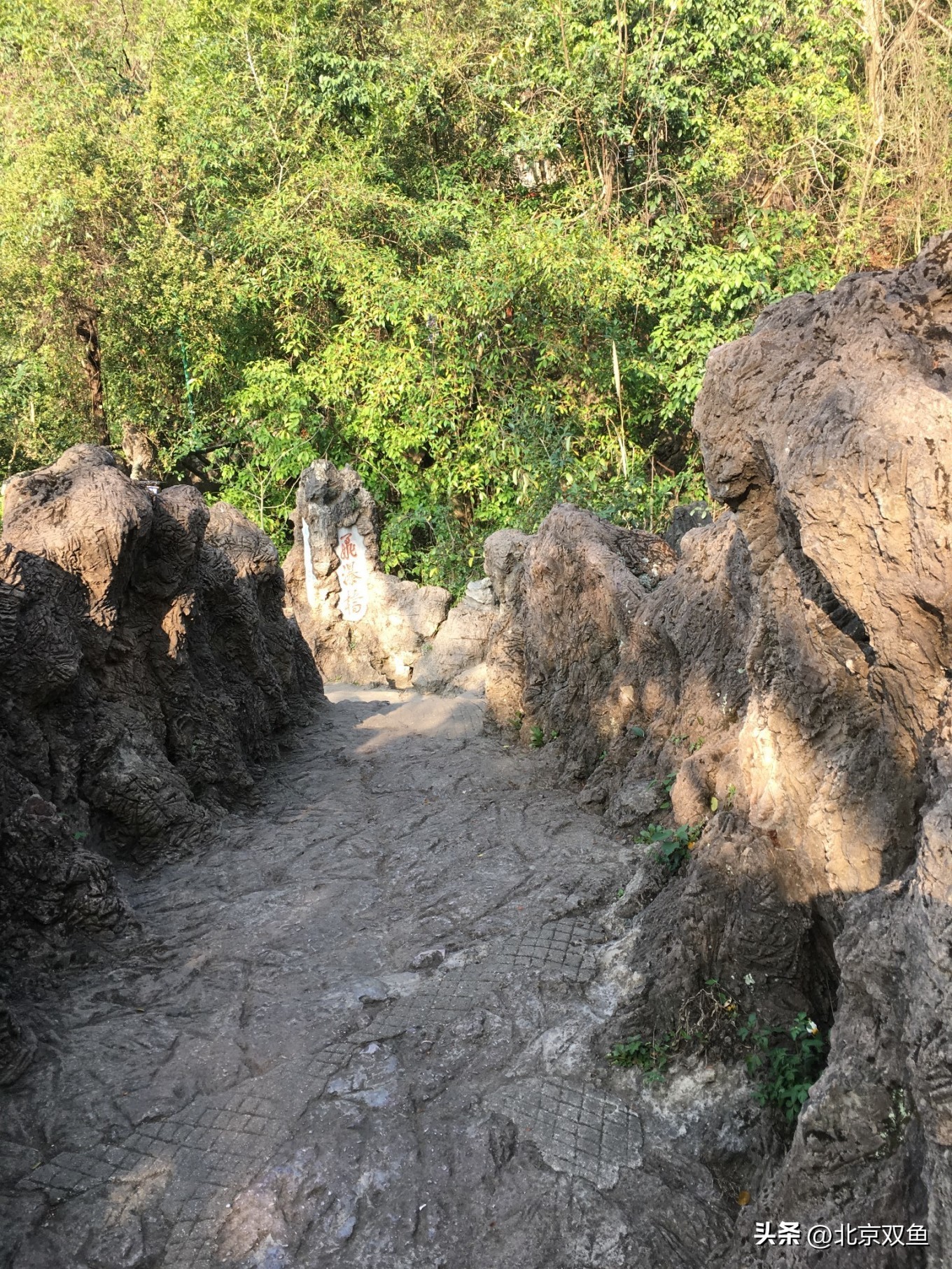 贵州黄果树最美的地方,贵州黄果树旅游攻略自由行