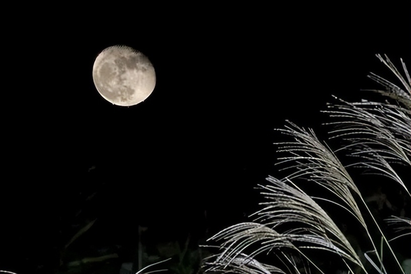 描写春月的七绝诗,关于春月的古诗词名句