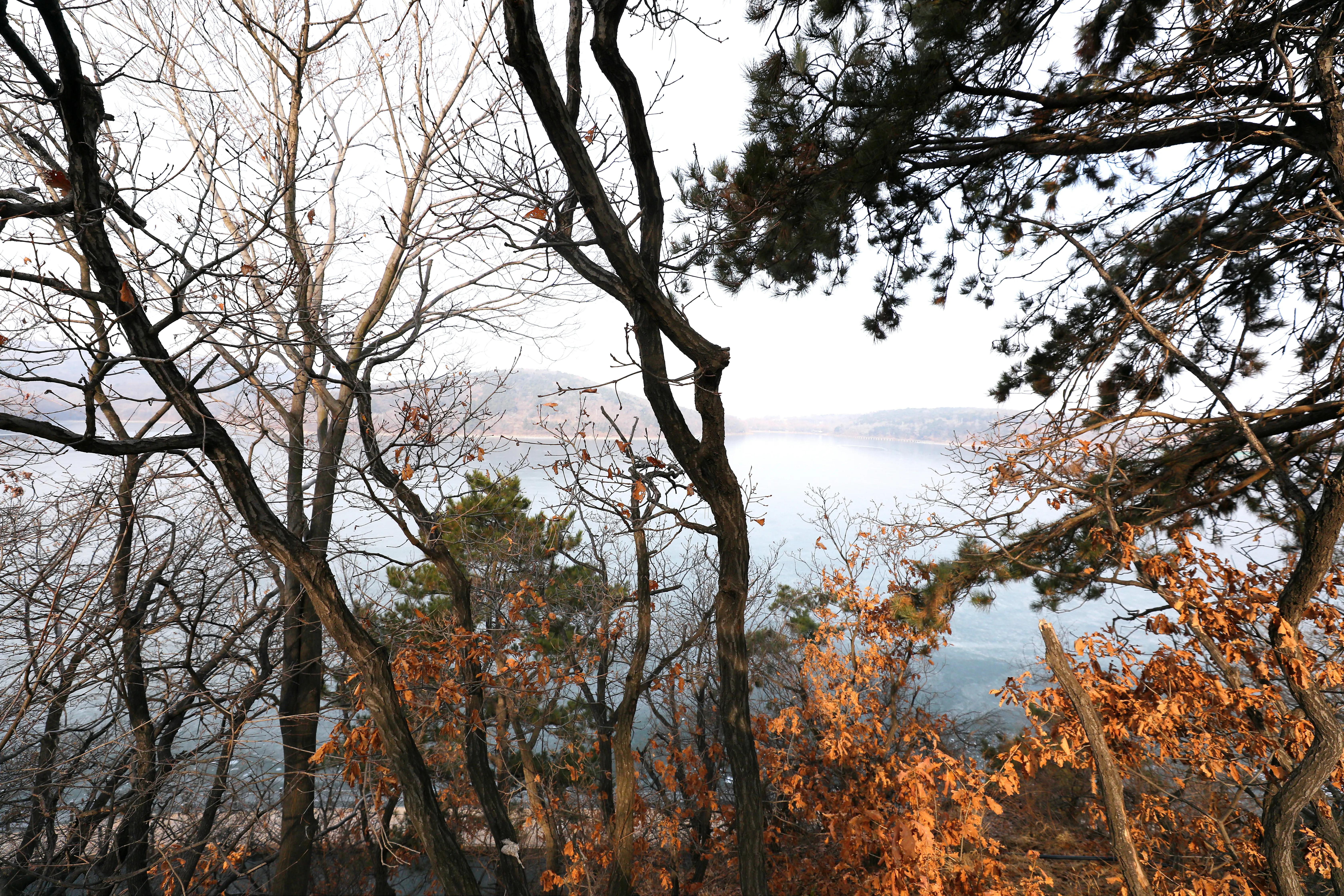 绉﹀箔灞辫剦鍏ㄦ櫙鎽勫奖,绉﹀箔鎽勫奖鏈轰綅