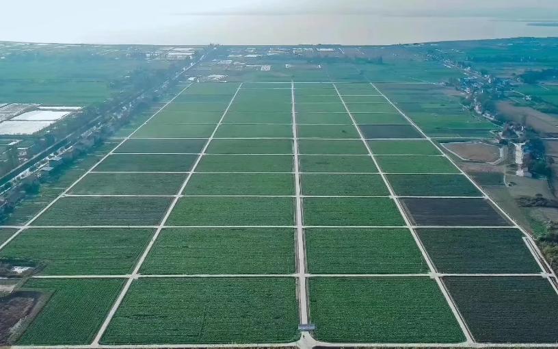 一夜蒸发数亿人民币,康师傅变成“糠师傅”,严钦武后悔已晚