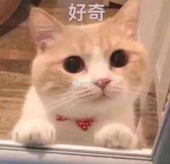 世界杯决赛在即，来点足球发疯文学？