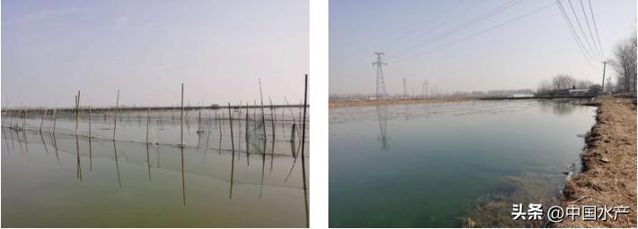 水生外来物种入侵防控工作方案,水生动物防疫