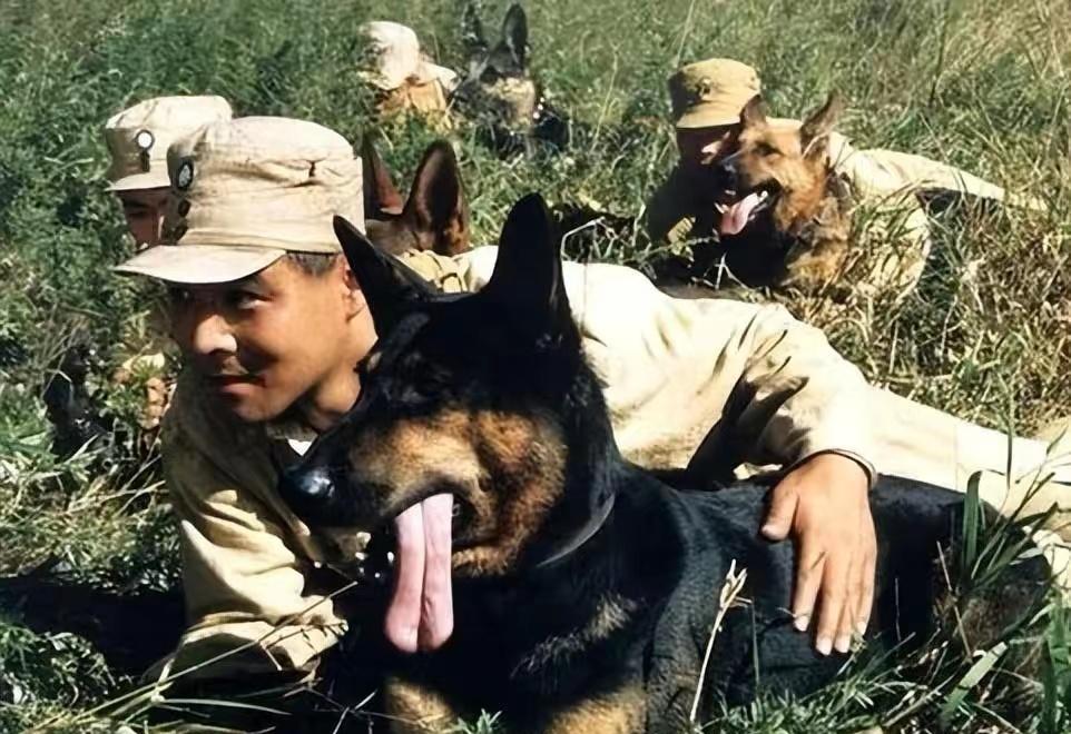 周润发和张卫健,张卫健周润发