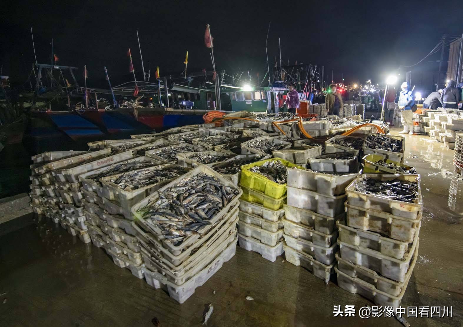 海南陵水新村疍家渔港,海南陵水水产市场