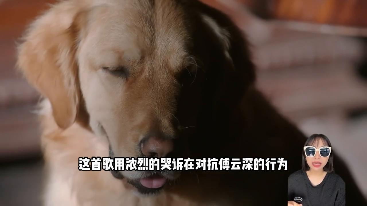 拉片解读镜头,拉片深度解析大全