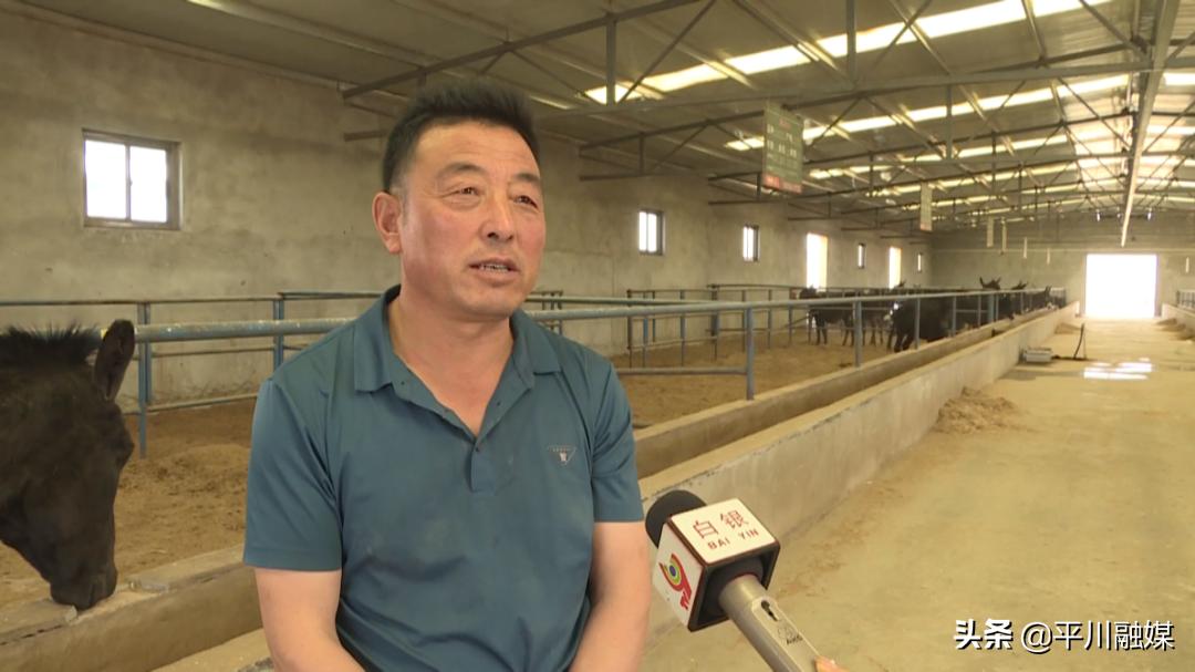 平川区黑驴基地,延链补链强链甘肃