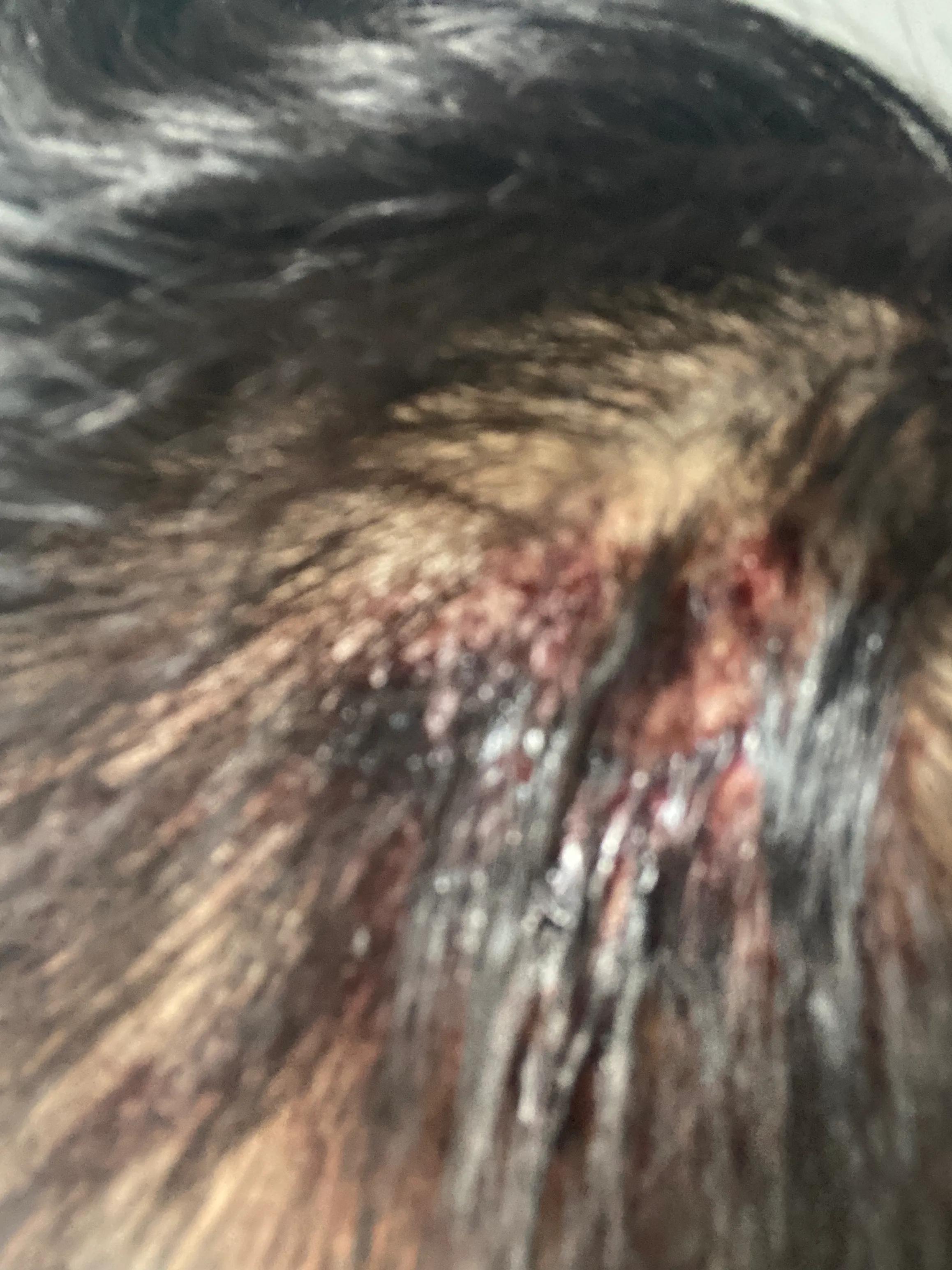 时光倒流二十年歌曲,时光倒流70年