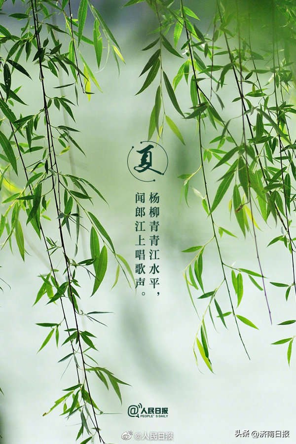 当夏日美景遇上古诗词了,当夏日美景遇上古诗词怎么写