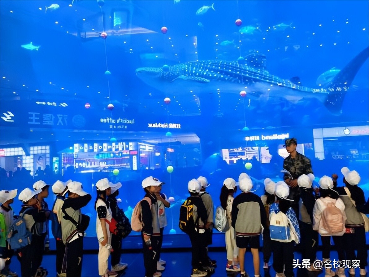 蔚蓝做苍穹，鱼儿变繁星！新川学子，走进浩海立方，探秘无限海洋