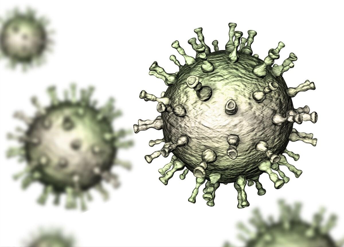 和闺蜜住一个月染上hpv,闺蜜同住一个月感染hpv