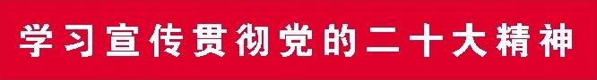 学习宣传贯彻党的二十大精神美篇,学习贯彻党的二十大精神文化强国