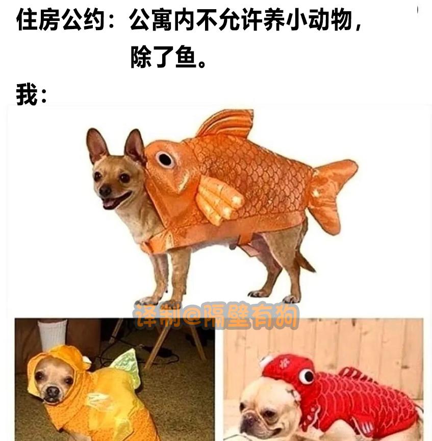 看完恐怖片不敢去最后一间厕所,看完恐怖片转移阵地