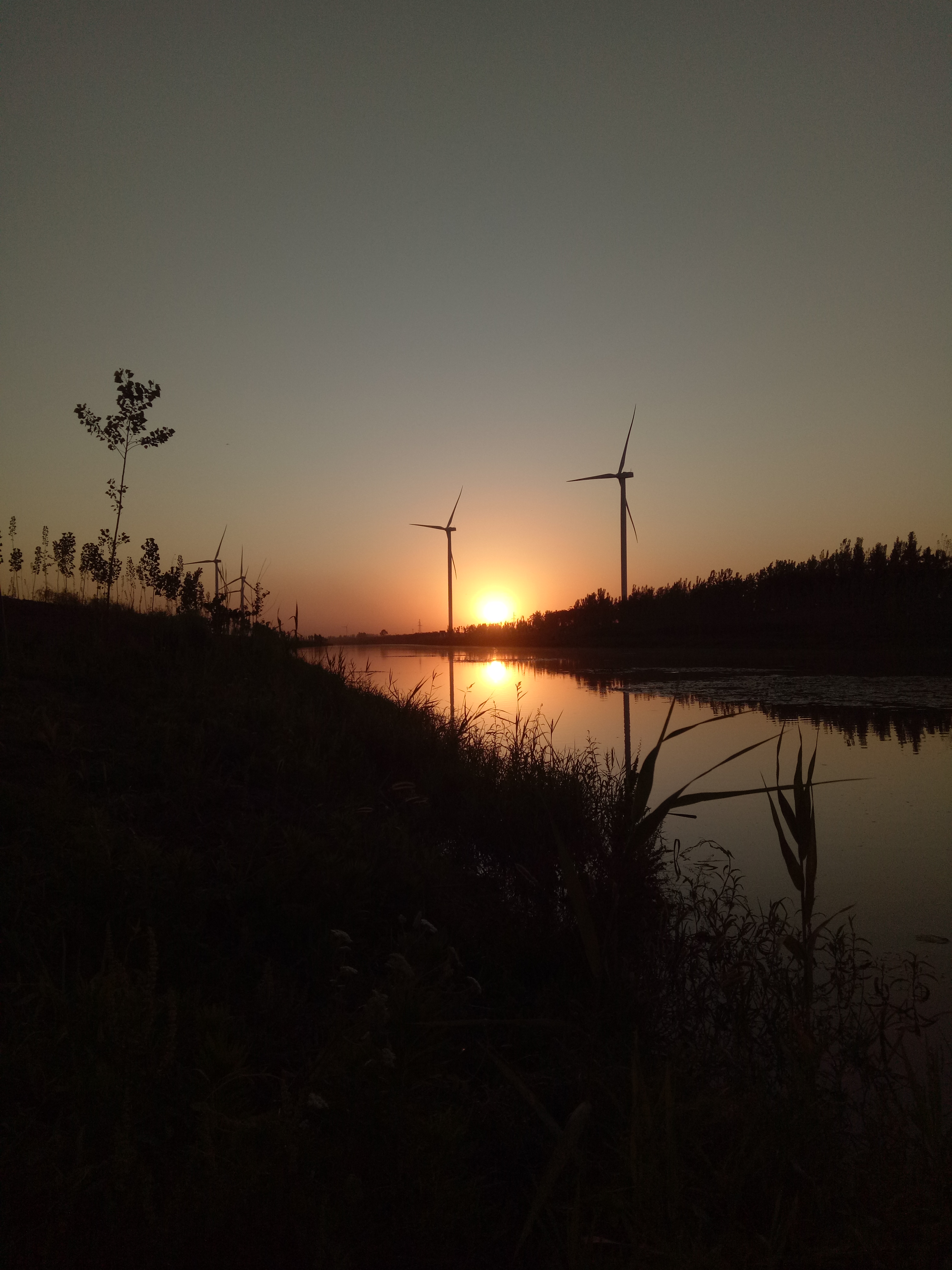 学习练撒网,学撒网第六天