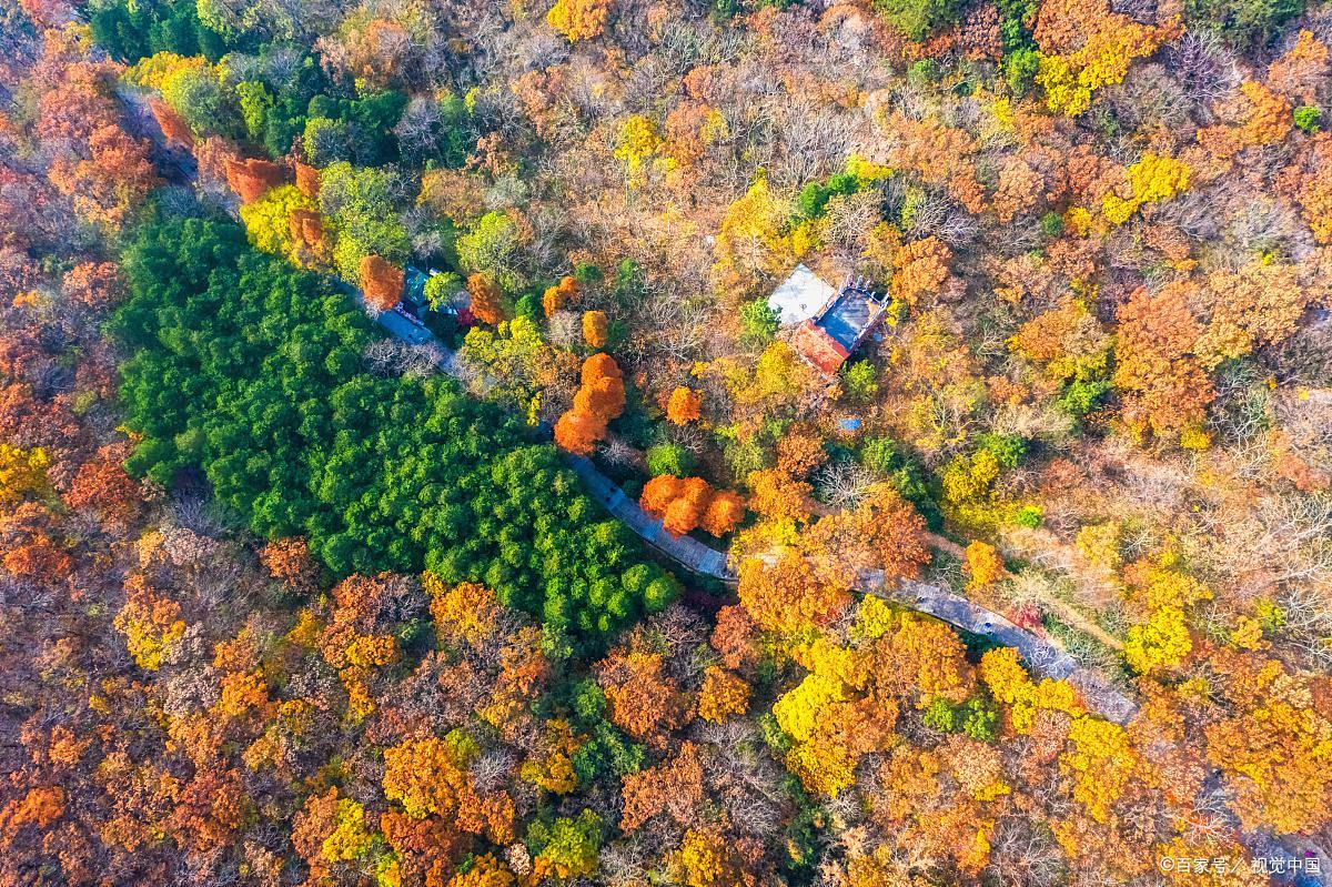 青岛旅游免门票景区有哪些,青岛旅游攻略最坑人的景点