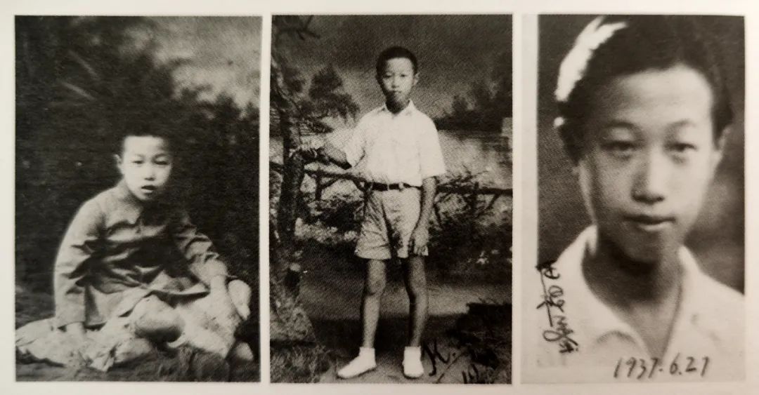 再见了，“没头脑”和“不高兴”之父，任溶溶