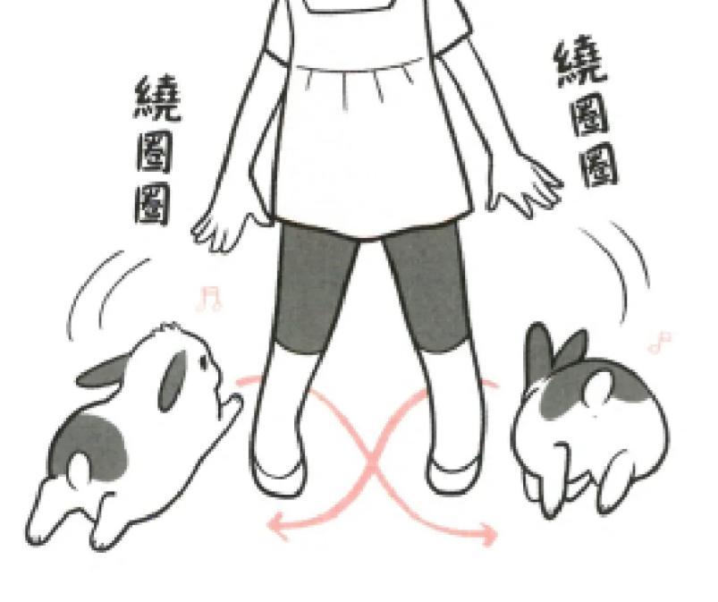 两个月大的兔兔要注意什么,怎么样的兔兔比较容易存活