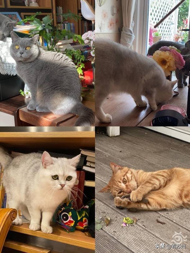 写字者·对话｜“五个一工程”奖得主王一梅：回归故乡，拥抱爱与成长